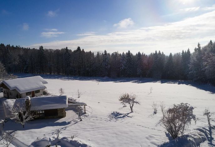 Bild 15