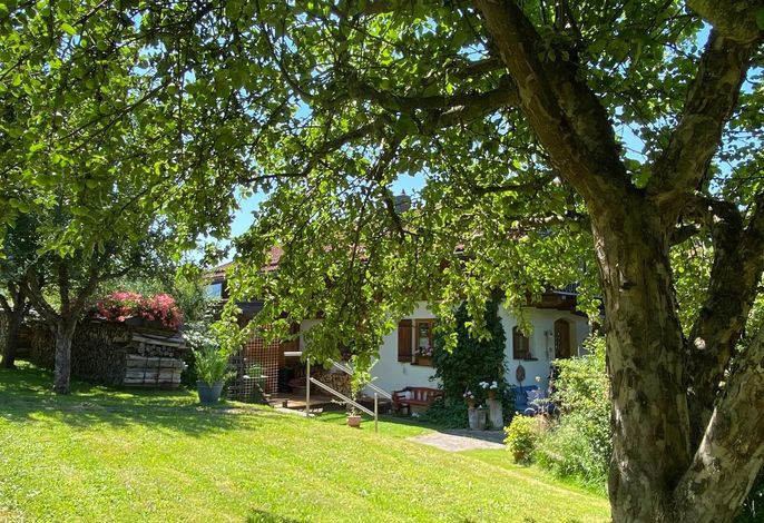 Bild 13