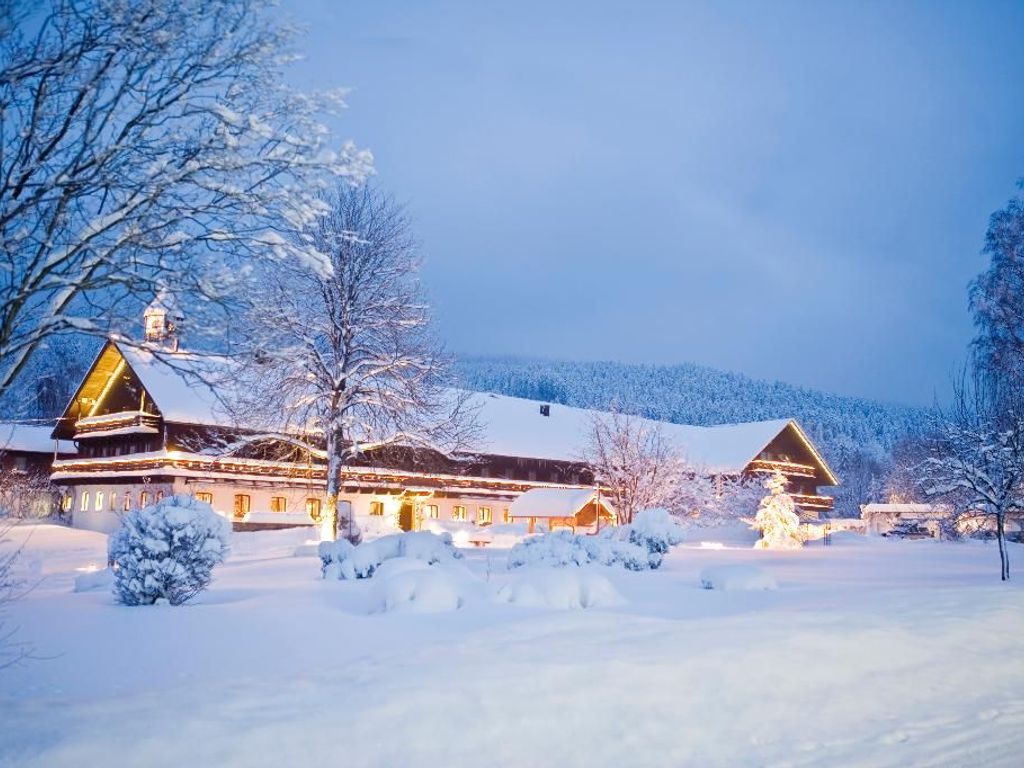 Winterimpression