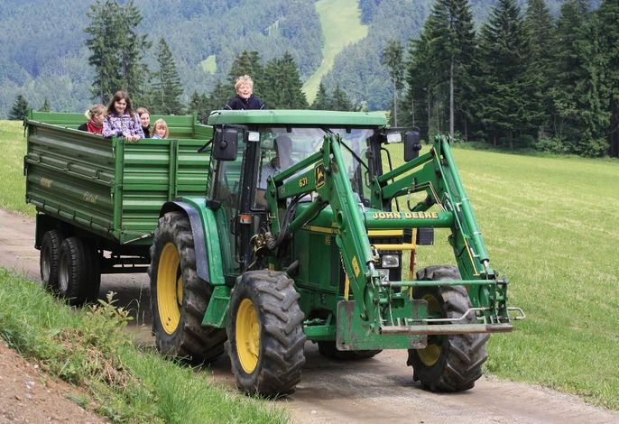 Bild 17