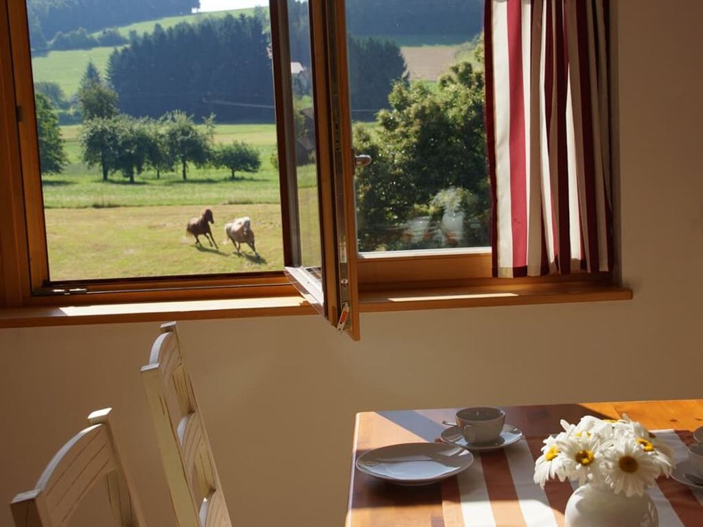 Panoramablick Höllba