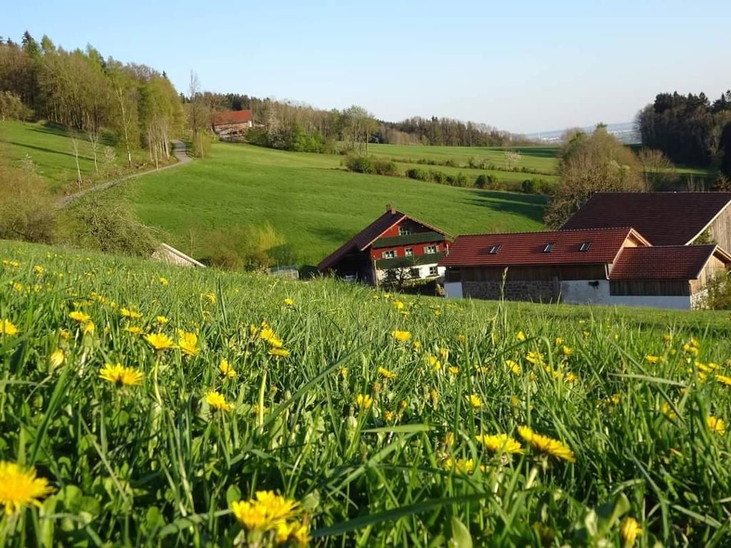 Irlmühl
