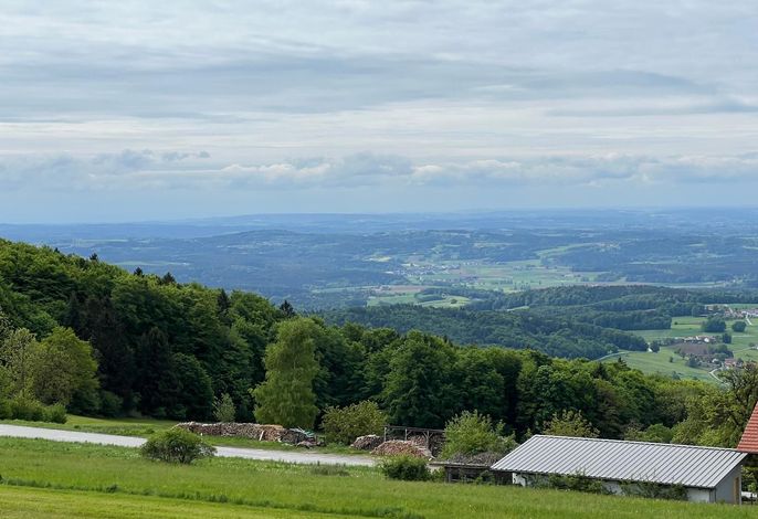 Bild 16