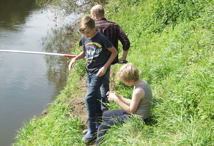 Bild 15