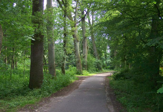 Bild 14