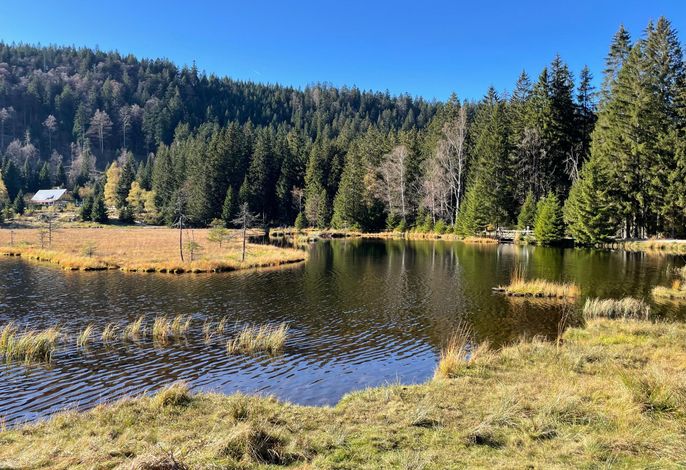 Bild 18