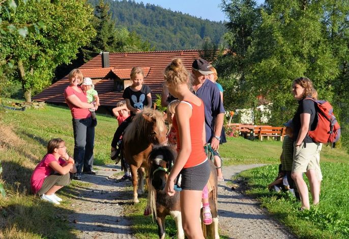 Bild 22