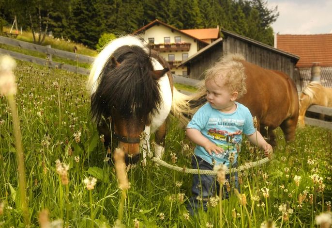 Bild 16