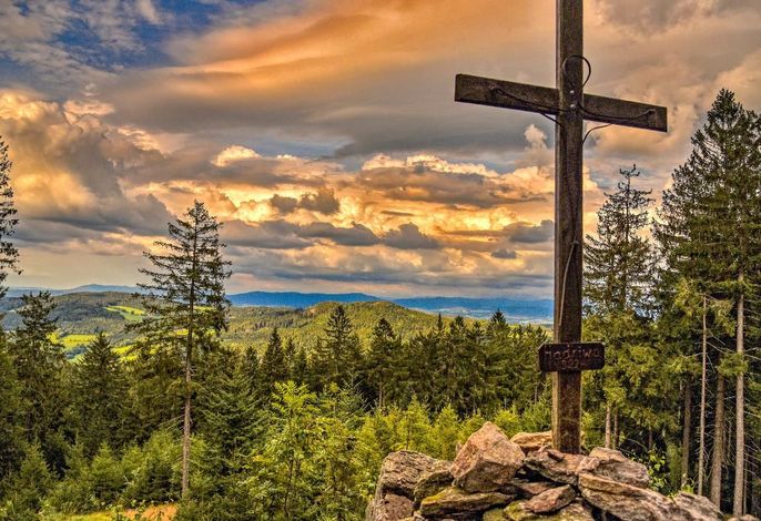 Bild 31