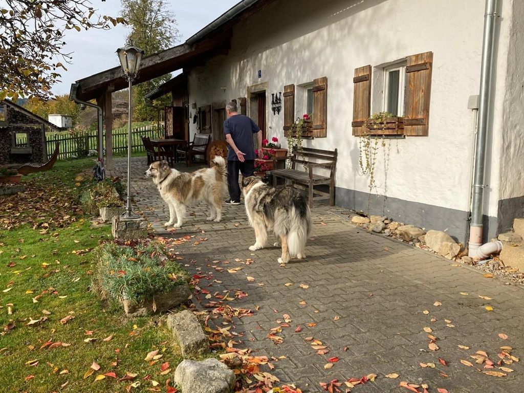 hundefreundlich