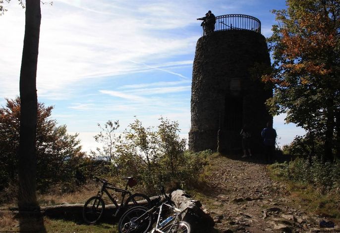 Bild 8