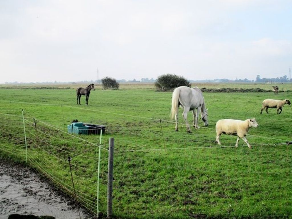 Ferienwohnung Nissen-Freundt