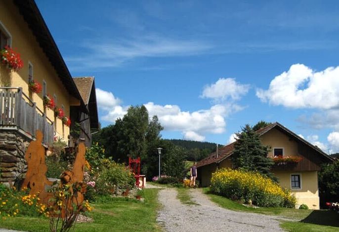 Bild 16