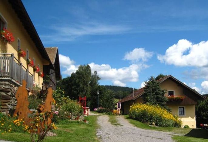 Bild 14