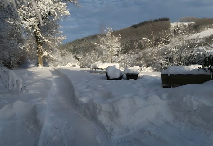 Bild 12