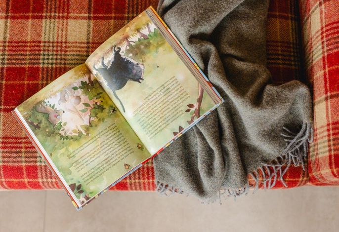 Bild 7