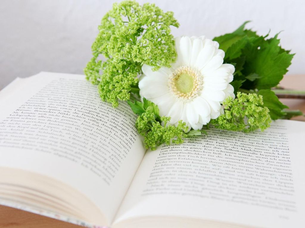 Aus der Bibliothek