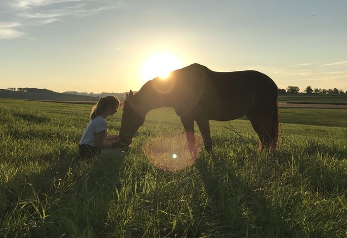 Bild 17