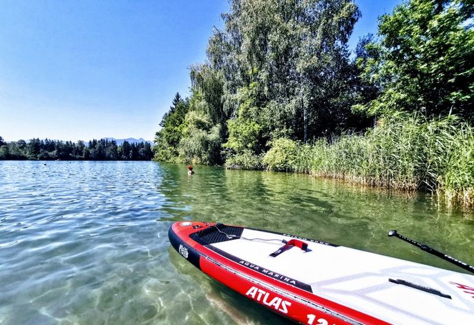 Bild 15