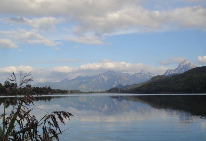 Bild 18
