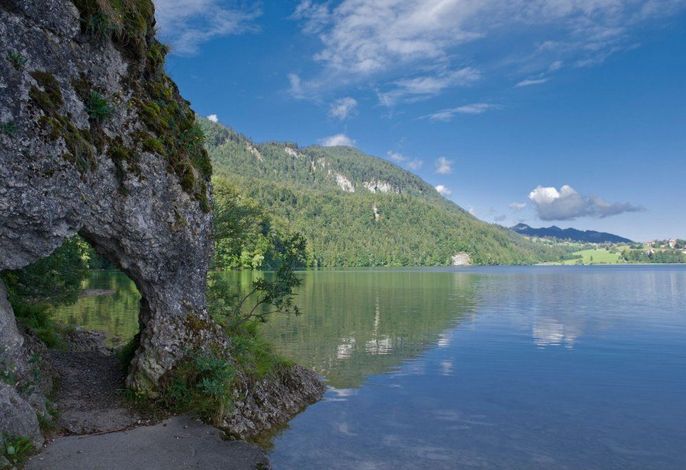Bild 19
