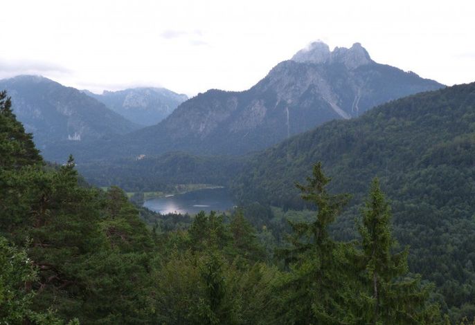 Bild 14