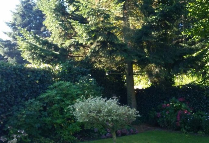 Ferienhaus Am Hasselberg – Foto 3