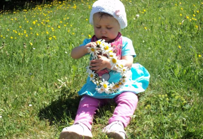 Bild 12