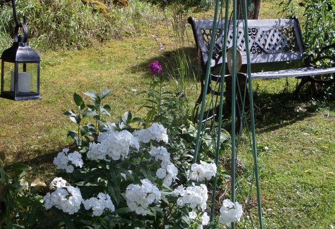 Bild 17