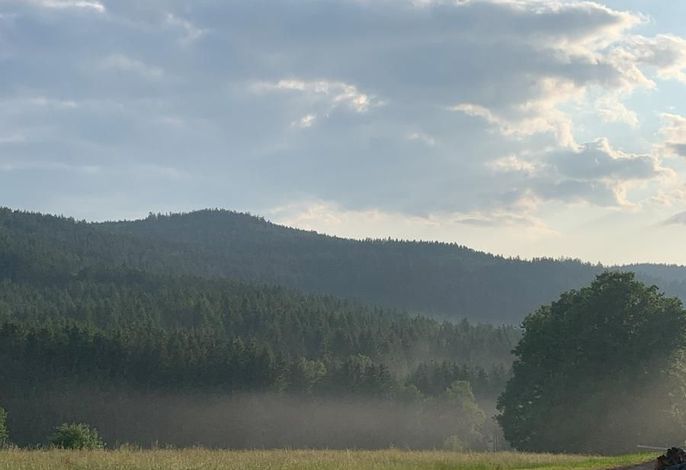 Bild 21