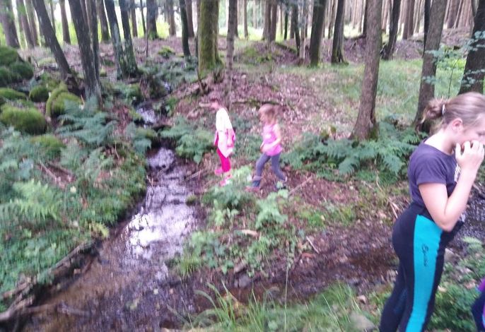Bild 14