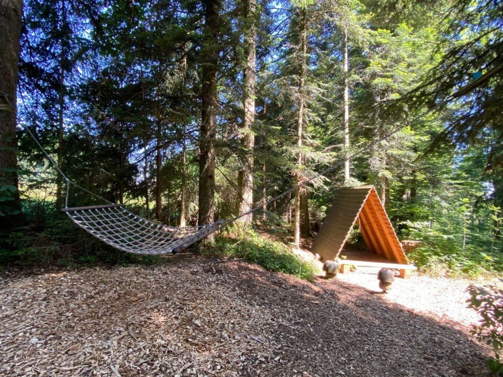 Hängematte im Wald
