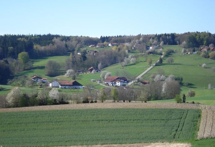 Bild 13