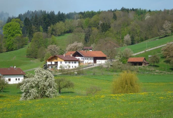 Bild 12