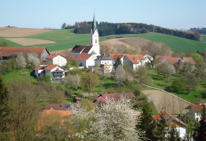 Bild 22