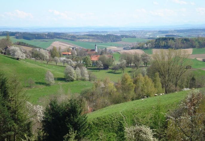 Bild 14