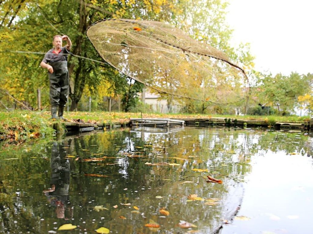 Chef beim Fischen