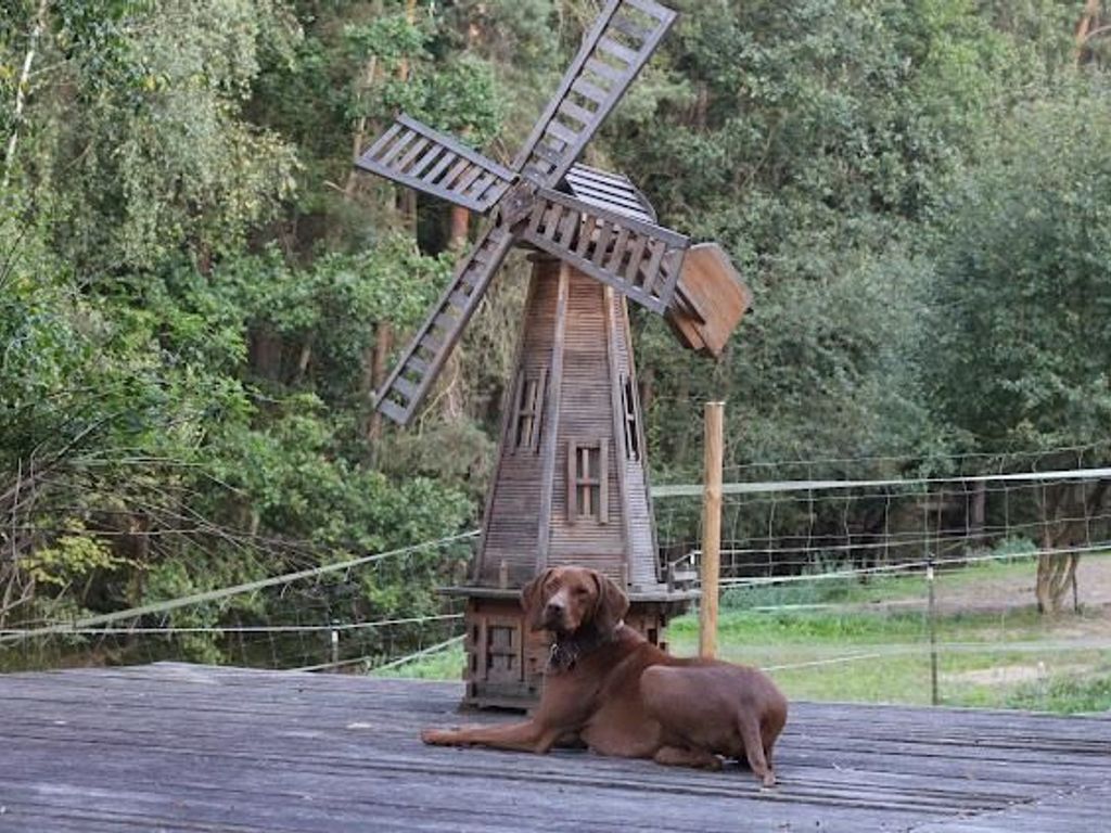 Hund Maxl