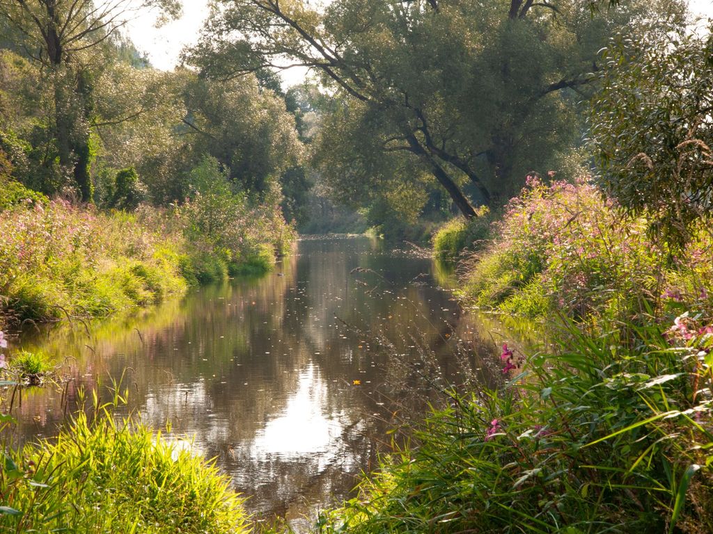 an der Spitz