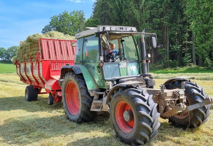 Bild 18