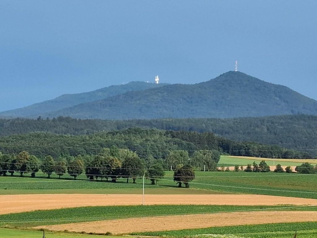 Hohenbogen
