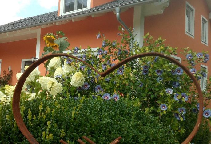 Bild 15