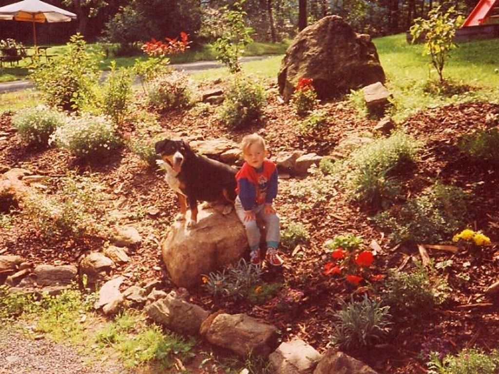 spielwiese_kind_hund