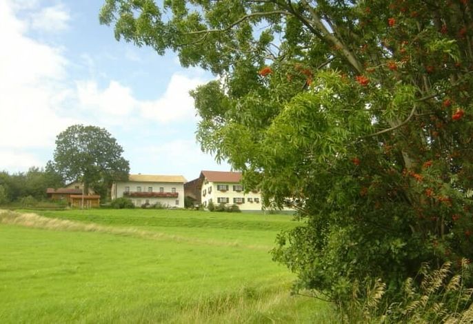 Bild 15