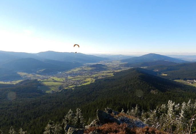 Bild 13