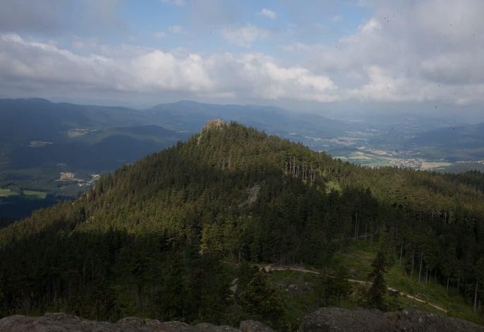 Bild 14
