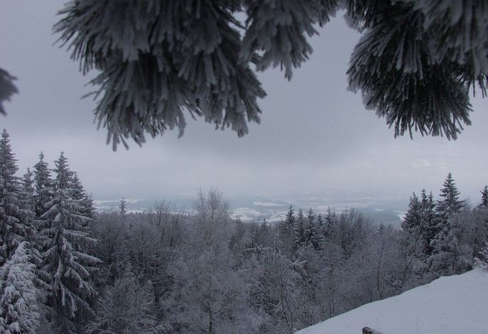 Bild 15