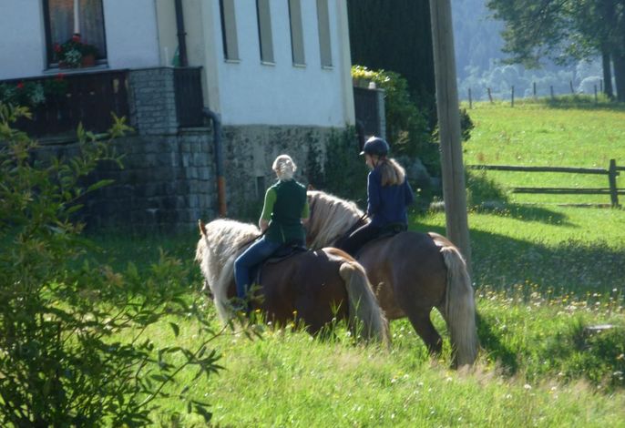 Bild 22