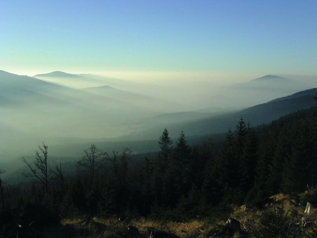 Herbstnebel