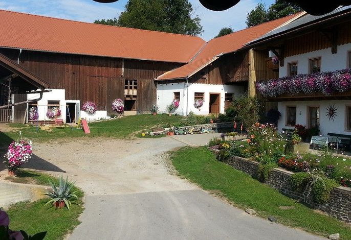 Bild 42
